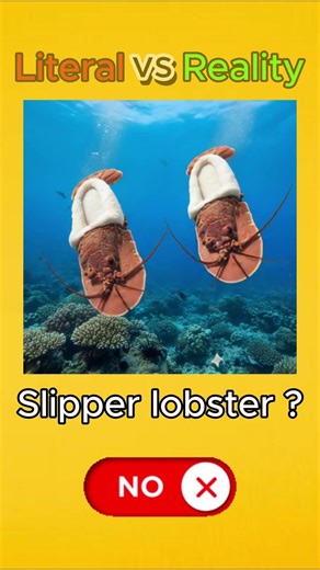 Slipper Lobster | Literal vs Real Meaning | English Word