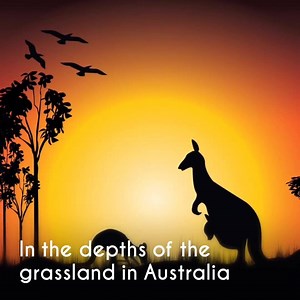 198K views · 1.9K reactions | Air China new non-stop service between Sydney and Chengdu will commence on 12 November 2016 for 3 times a week！Round trip special fare from 563AUD ! We are looking forward to meeting you in Chengdu and book now for your seamless journey! | Air China | Facebook