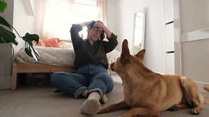 Happy Young Woman Playing Her Dog Stock Footage Video (100% Royalty-free) 1103425207 | Shutterstock