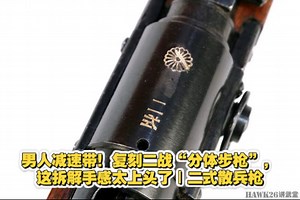 男人减速带！复刻二战“分体步枪”，这拆解手感太上头了｜二式散兵枪