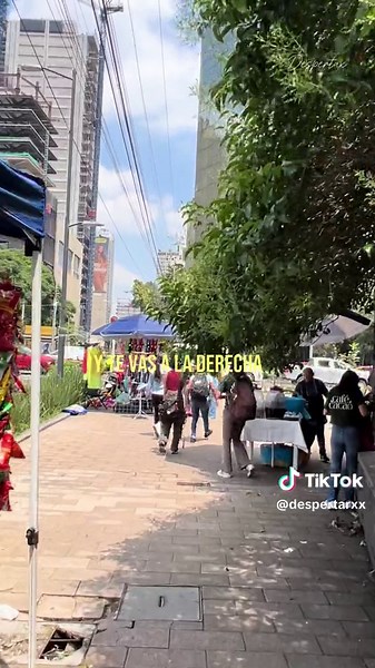 Descubre el Lago de Chapultepec y sus Lanchas