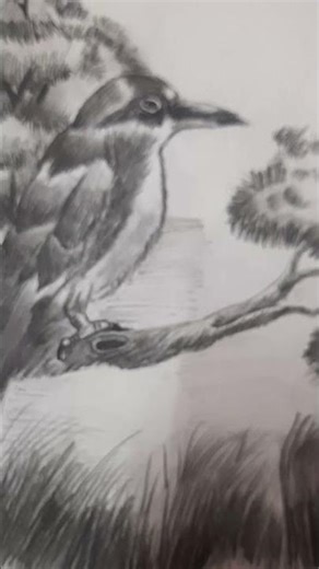 The king fisher sketch🦅👿