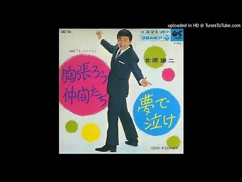 夢で泣け 北原謙二【高音質 全音標 譯文】