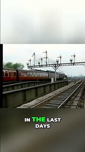 Classic Steam Engines The Powerful Hall Class Locomotives #GWR, #SteamTrains, #fyp #railway