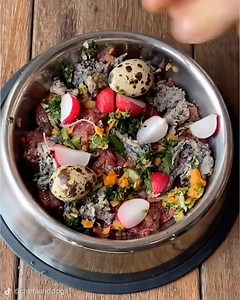 Would you cook a gourmet meal for your pet? 🐾 Thanks to: instagram.com/chefsanddogs tiktok.com/@chefsanddogs | Tasty UK