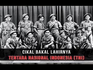 SEJARAH LAHIRNYA (TNI) TENTARA NASIONAL INDONESIA