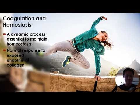 CHEM 1050 - Final Project - Hemostasis & Thrombosis