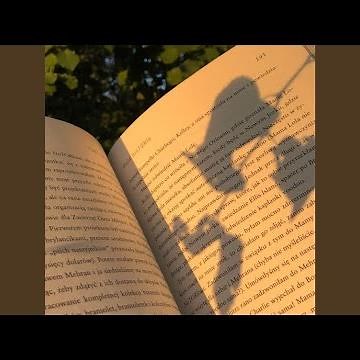 Joy in the Little Things