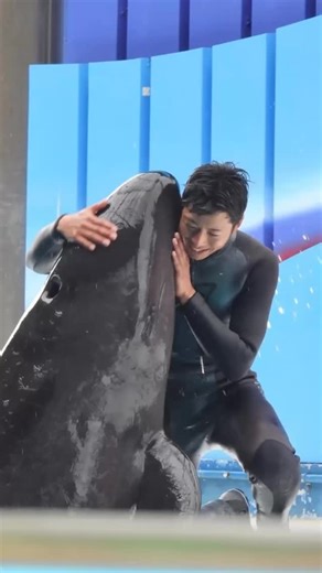 アワーズ（アドベンチャーワールド）採用【公式】 on Instagram: "👈27卒エントリー開始！詳しくはこちら。 普段はウェットスーツに身を包み、 イルカたちと心を通わせるプロフェッショナル🐬 でも、一歩パークを出れば…… 絵画、野鳥観察、木彫り、そして全力パパ！ 「好き」をとことん突き詰める、探求者の顔がありました。 🎤 社員に聞いた！休日の流儀 Q. なぜそこまで多趣味に？ きっかけは大学生の時。「動物の身体のつくり（形態）をもっと知りたい！」と思って絵を描き始めたのがスタートです🎨 5-6年前に白浜へ飛来した「ヒレンジャク」という鳥の美しさに魅了されてからは、野鳥観察やモノづくりにも火がつきました🔥 Q. 趣味は仕事に活きていますか？ 「全てが繋がっています」 野生の生き物も、目の前のイルカも、同じ世界で懸命に生きている。 自然の壮大さに触れると、仕事の悩みなんてちっぽけだなって思えるんです。 没頭・集中する時間の使い方は、仕事も遊びも同じですね。 ────────────── ☕️ 白浜LIFEのおすすめ 挽きたてのコーヒーを水筒に入れて、海や山へ散歩に行くのが