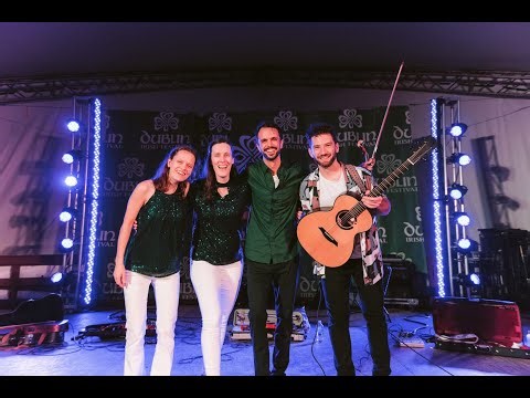 It's All Your Fault - The Fitzgeralds