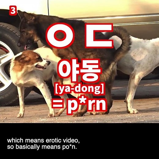 What is #ㅇㄷ_Contemporary Korean Slang #shorts