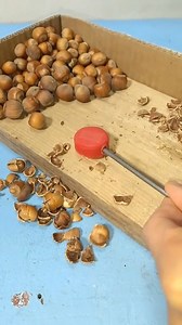 1.5K views | Great Diy Nut Cracker for Peeling Hazelnuts #diy #ideas #tips #lifeha... #DIY #DIYProjects #Crafts #ReelsDIY #HomeDecor | Ian & Hamilton | Facebook