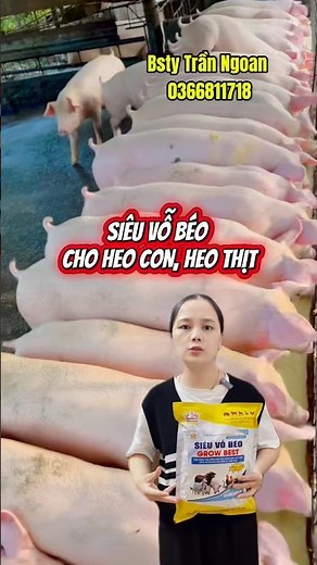 Super fattening for piglets and pigs #farming #livestock