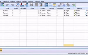 SPSS Chi square test of independence