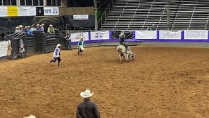 31 reactions | Shout out to Koltin Hevalow as he makes a big ride tonight in the short round at Tarleton State University for the final rodeo of the year!!! Catch the rodeo on the Cowboy Channel Plus App! | The Odessa College Wrangler Rodeo Team | Facebook
