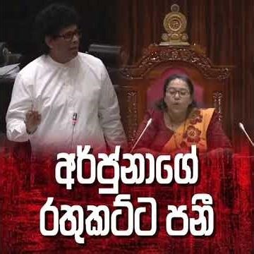 කටවහන් හිටපන්😡 කටවහන් හිටපන්😡 අර්චුනා මාලිමාවෙ කාටද ඒ බැන්නේ??? #jvp #npp #akd #anurakumara