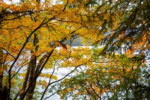 October dazzles on the high plateau