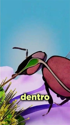This Is How Honey Is Made