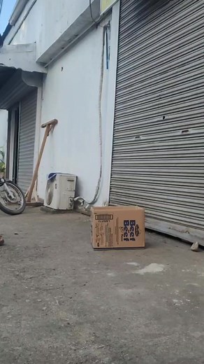 1K views · 12 reactions | Magic box | Michael Bacus | Facebook