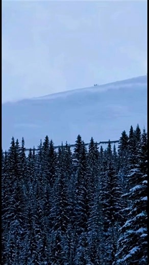 🚨 BREAKING NEWS DEADLY AVALANCHES CLAIM LIVES IN THE FRENCH ALPS 🚨 This is not just snow it’s a loaded mountain waiting to collapse. At least SIX PEOPLE HAVE BEEN KILLED after multiple avalanches struck the French Alps despite high avalanche danger warnings being in effect. Several of the victims were off-piste skiers, caught when unstable snow slabs suddenly failed. Entire slopes gave way without warning, unleashing massive avalanches that became unstoppable white walls racing downhill in sec
