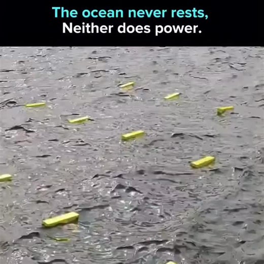 explain.io.1 on Instagram: "Power from Waves 🌊 Wave power generators convert the constant motion of ocean swells into electricity using mechanical or hydraulic systems connected to generators. Unlike solar or wind, wave energy is highly predictable, producing consistent output day and night. For coastal nations aiming to decarbonize grids, wave energy presents a scalable complement to offshore wind, particularly for island and shoreline communities. It taps into a resource that surrounds much o