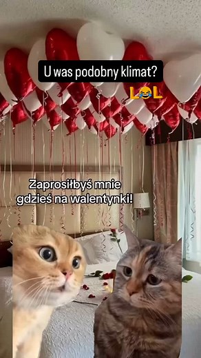 Wspaniałych walentynek od @sandroom_architektura_wnetrz ♥️♥️ w pięknych wnętrzach #projektowaniewnetrzolsztyn #projektowaniewnetrz #projektowaniewnetrzonline #architektwnętrz #architektwnetrzolsztyn | sandroom