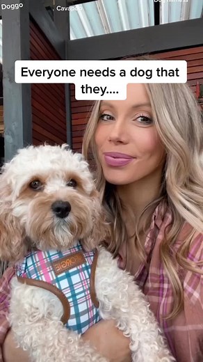 Georgie and Co Designs: Stylish Dog Harness Sets for Your Cavapoo