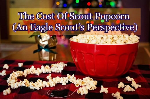 The Cost Of Scout Popcorn (An Eagle Scout's Perspective)