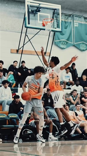 Don't Miss Out On This Unbelievable Quality Basketball | Dime Sports