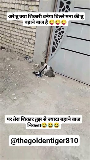 Kya gunda banega re tu😂 #shortsfeed #shorts #viral #funny #comedy #comedyshorts #funnyshorts #cute