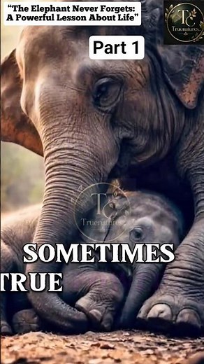 “The Elephant Never Forgets #naturelovers #elephant #naturelovers