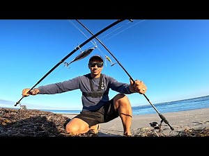 PERTH BEACH FISHING, 2 Fishing Rods, LOTS OF FISH (Epic Session at the Beach)