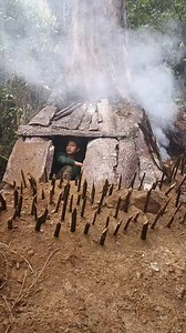 complete dry tree bark survival shelter 🫡 | Indian Survival Boy 07