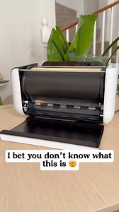 My new favorite appliance 😳 #kitchen | Jungle Badger