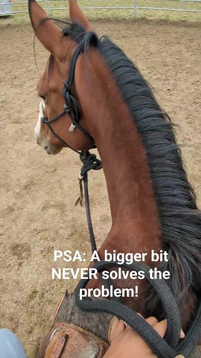 12K views · 239 reactions | This is a major pet peeve of mine! The horse doesn't need a bigger bit to control them. They just need to go back to the basics and gain body control! #Someonehadtosayit #Horsetips #Fyp #Foryou #HorseTraining #BarrelHorses #FinishedHorses #BitTalk #Halter #BodyControl #Softness #groundwork | Cowgirl Tuff Colt Training | Facebook