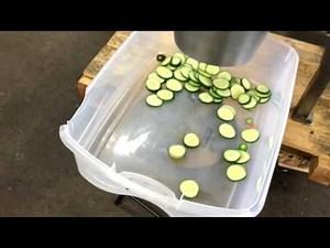 Urschel OV cutter / pickle slicer, Alard item Y3053