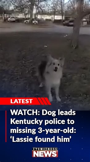 The search for a missing child in Louisville, Kentucky, turned into a neighborhood effort during the January incident. But ultimately, it was a dog who reunited the worried family. Click the link in the comments to read the full story. | Eyewitness News
