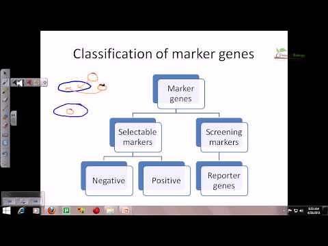 Reporter genes and their importance