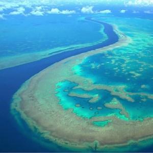 198K views · 6.2K reactions | There's so much to discover at the largest coral reef in the world! See underwater for yourself  Dive in deeper: https://culturetrip.travel/lueX4e | Culture Trip | Facebook