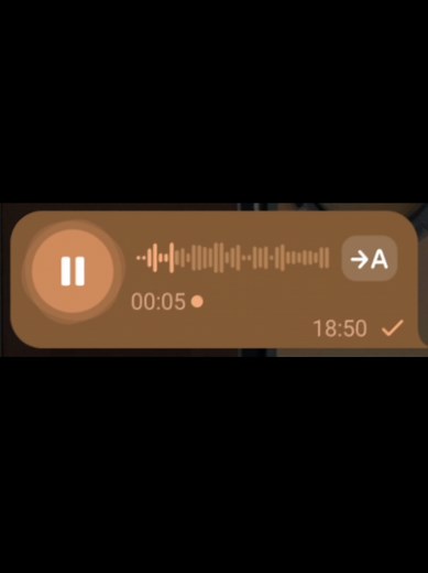 Master of Puppets Acoustic Guitar Solo Tutorial