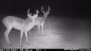 1.6K views · 37 reactions | Videos and photos all from one camera? Tough to beat the options available on the LINK-S-DARK! : Shane Kessler | SPYPOINT Trail Cameras | Facebook