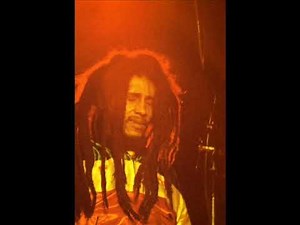Bob Marley " Could You Be Loved " Live 80 HD !!!