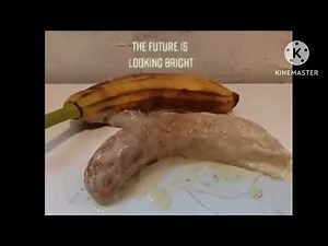 Full stop Punctuation￼