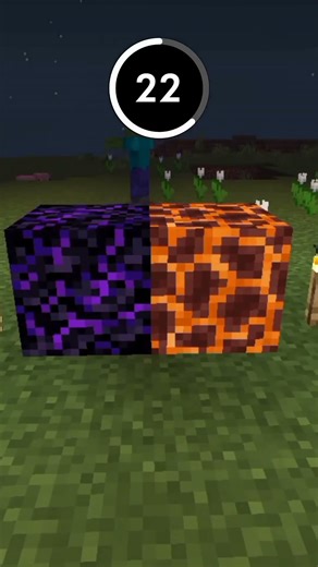 Guess the Minecraft Block in 60 Seconds (part 2)