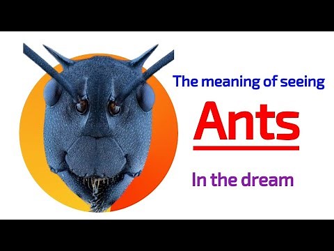 Ants in dream meaning and symbolism