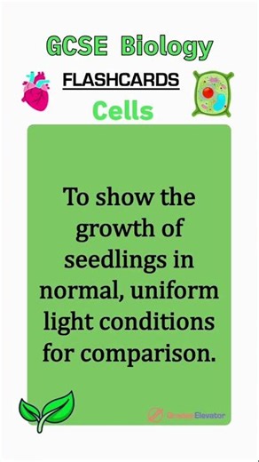 Cell biology revision flashcards GCSE #education #revision #combinedscience