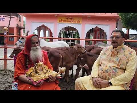 English (New Zealand) – अंग्रेज़ी (न्यूज़ीलैंड)#Divine Cow Energy: Living Archive of Vedic Science