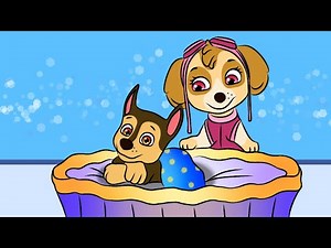 So Happy~ SKYE Meet Her Baby after Gave birth The Baby Chase