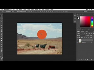 Get to know layers in photoshop 2022