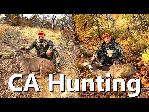 Bucks Down in B Zone! CA Deer Hunting